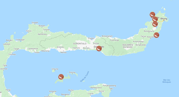 Mes envies d'ailleurs - Sulawesi