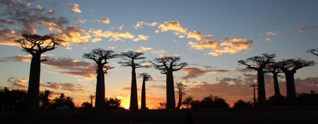 Mes envies d'ailleurs - Madagascar